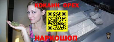 стаф Дубна