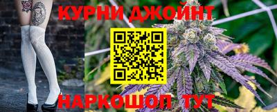 стаф Дубна