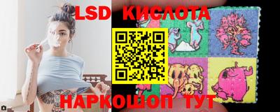 стаф Дубна