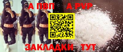 стаф Дубна