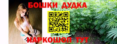 стаф Дубна