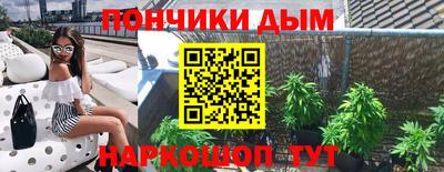 стаф Дубна